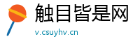 触目皆是网